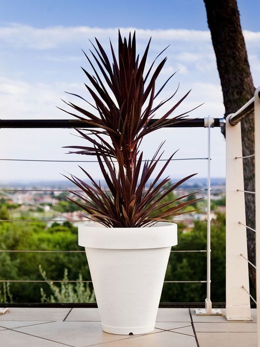 Pegasus resin vase pot 40x37 cm