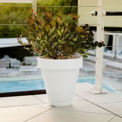 Vaso Pegaso in resina 60x55 cm