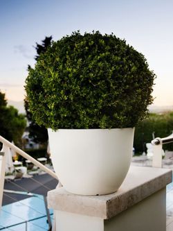 Planter Orione 40x40 cm