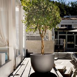 Fioriera Orione 50x37 cm