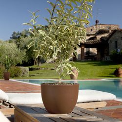 Fioriera Orione 50x37 cm