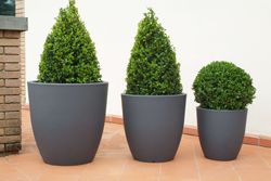 Floreira Orione 60x60 cm