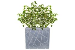 Jardinera resina rectangular alta flowebox 80x30 cm