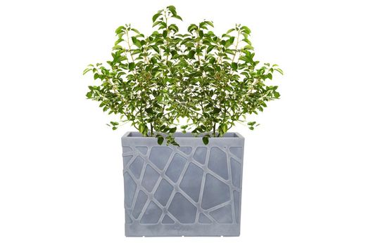 Jardinera resina rectangular alta flowebox 80x30 cm