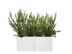 Jardinera resina rectangular alta flowebox 80x30 cm