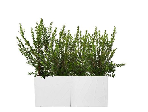 Jardinera resina rectangular alta flowebox 80x30 cm