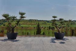 Fioriera rotonda in resina Megalos 110x65 cm