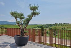 Fioriera rotonda in resina Megalos 110x65 cm