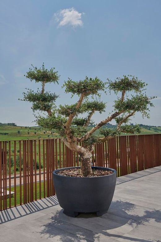 Fioriera rotonda in resina Megalos 110x65 cm