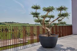 Jardinera resina redonda de grandes dimensiones megalos 122x73 cm