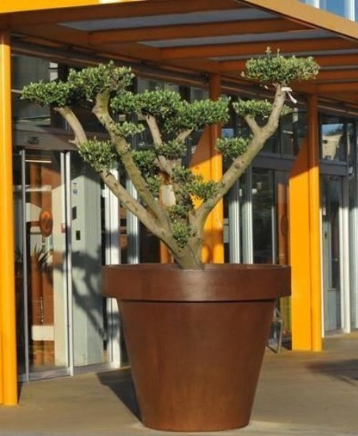 Jardineras Acero Corten Gran dimension