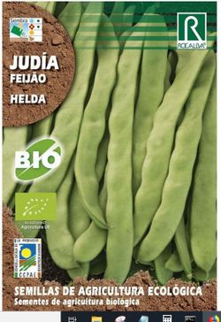 Judia helda ECOLÃ“GICA