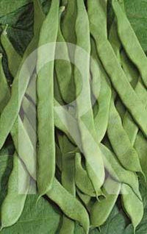 Supermarconi bean 30g