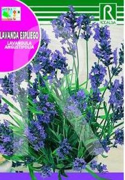 Lavanda Espliego 1g