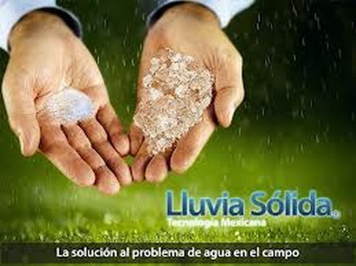 Lluvia sólida, Plantas hidratadas