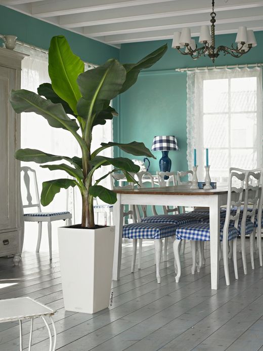 Maceta autorriego Lechuza 22x22x41 cm