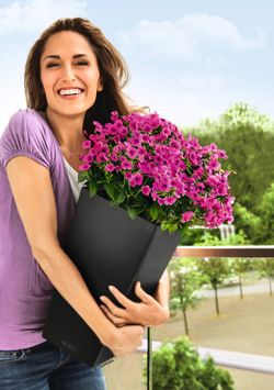 Maceta autorriego Lechuza 22x22x41 cm