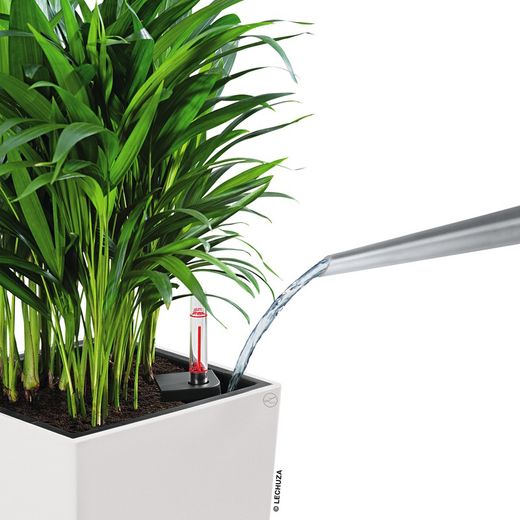 Maceta autorriego Lechuza 22x22x41 cm