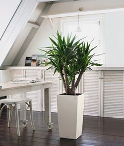 Maceta autorriego Lechuza 22x22x41 cm