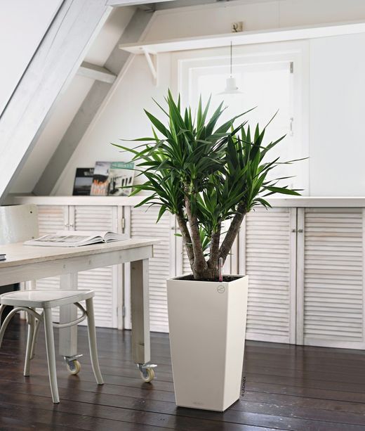 Maceta autorriego Lechuza 22x22x41 cm