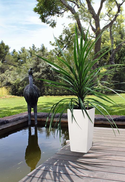 Maceta autorriego Lechuza 22x22x41 cm