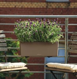 Balcony owl self-watering pot 50x19x19 cm