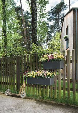 Balcony owl self-watering pot 50x19x19 cm