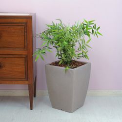 Pote de resina Hydrus 36x50