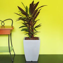 Vaso in resina Hydrus 39x85