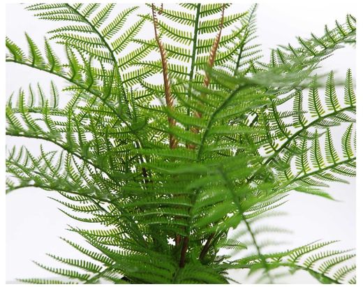 POTE DE SAMambaia ARTIFICIAL 55CM