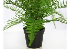 POTE DE SAMambaia ARTIFICIAL 55CM