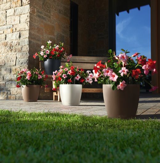 Flowerpot Owl self-watering Classic color 19 x 17 cm