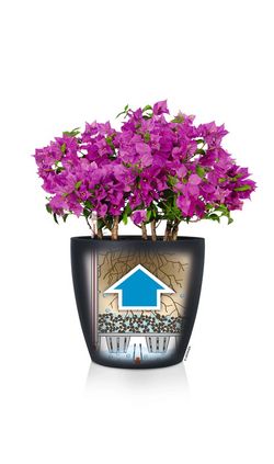 Flowerpot Owl self-watering Classic color 19 x 17 cm