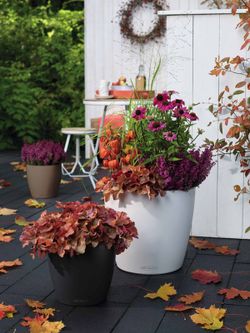 Flowerpot Owl self-watering Classic color 60 x 55.5 cm