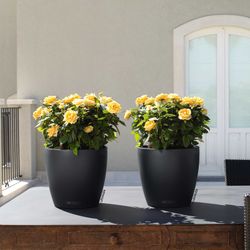 Flowerpot Owl self-watering Classic color 60 x 55.5 cm