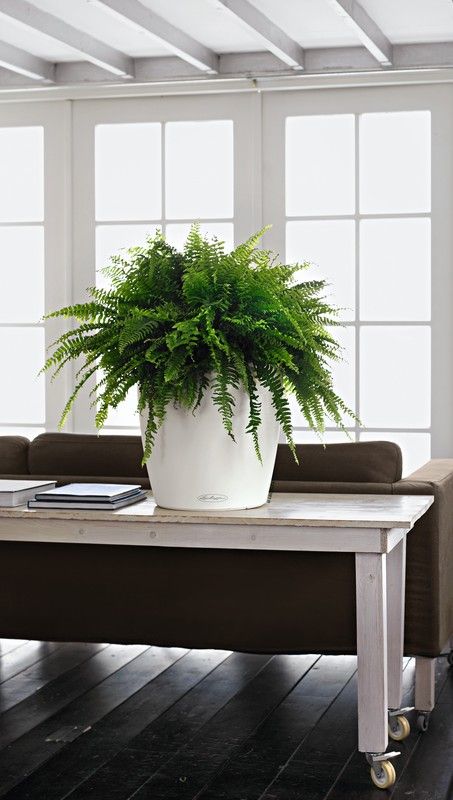 Flowerpot Owl self-watering Classic color 70 x 64.5 cm