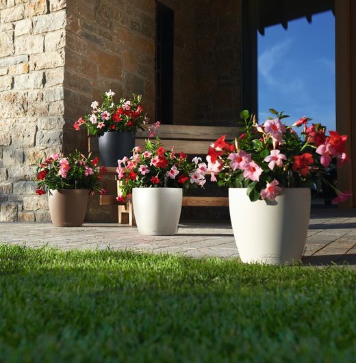 Flowerpot Owl self-watering Classic color 70 x 64.5 cm
