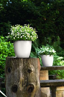 Flowerpot Owl self-watering Classic color 70 x 64.5 cm