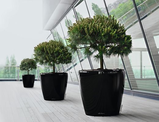 Vasetti Piante Set Vasi Per Piante In Plastica Terracotta - 60 Pezzi Da 9cm 3 Vassoi Trasporto, Per Interni Ed Esterni Vasi Per Bonsai - Foto 5