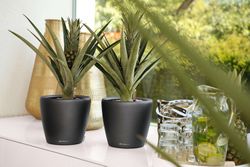 Flowerpot Owl self-watering Classico Premium 43.5 x 39 cm