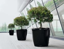 Flowerpot Owl self-watering Classico Premium 43.5 x 39 cm