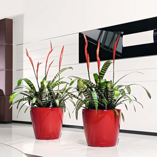 Flowerpot Owl self-watering Classico Premium 43.5 x 39 cm