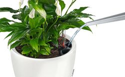 Flowerpot Owl self-watering Classico Premium 43.5 x 39 cm