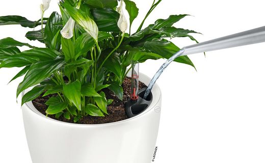 Flowerpot Owl self-watering Classico Premium 43.5 x 39 cm