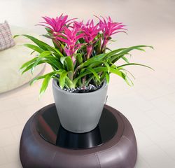 Flowerpot Owl self-watering Classico Premium 43.5 x 39 cm