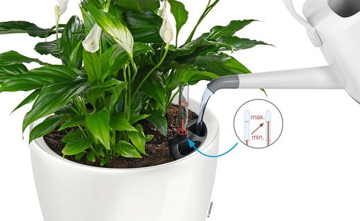 Flowerpot Owl self-watering Classico Premium 43.5 x 39 cm
