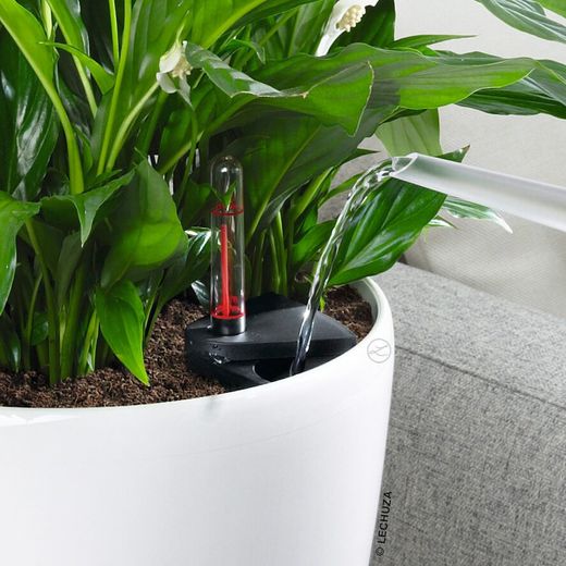 Flowerpot Owl self-watering Classico Premium 43.5 x 39 cm