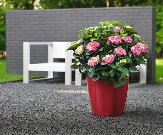 Flowerpot Owl self-watering Classico Premium 43.5 x 39 cm