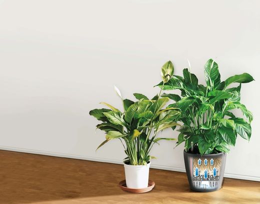 Vaso auto-irrigável Lehuza Classico Premium 28,5 x 26 cm