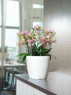 Vaso auto-irrigável Lehuza Classico Premium 28,5 x 26 cm